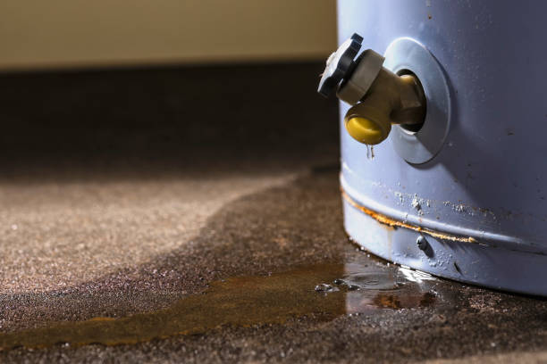 Best Flooded house restoration  in Northwest Harwich, MA