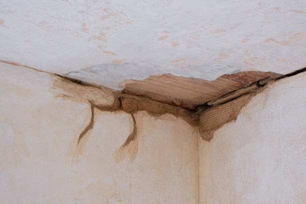 Best 24-hour water damage restoration  in Northwest Harwich, MA