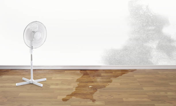 Water damage restoration mold remediation in MA