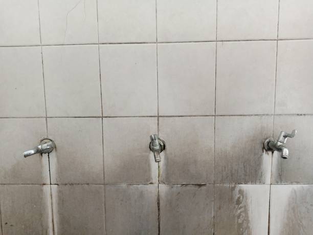 Best Ceiling water damage repair  in Northwest Harwich, MA