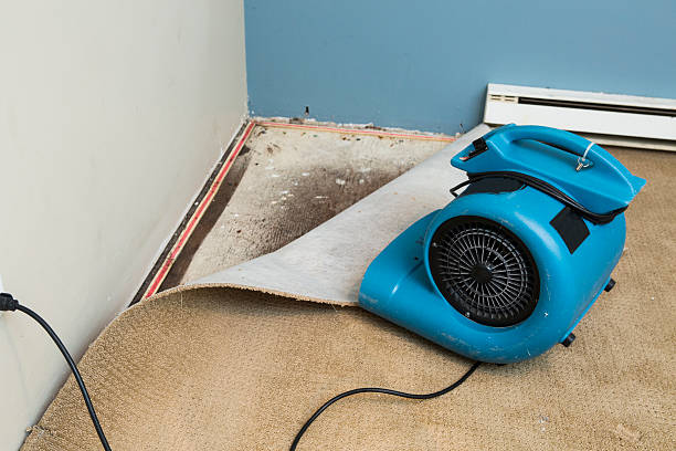 Best Basement water damage restoration  in Northwest Harwich, MA